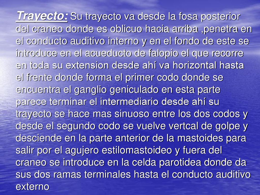 Trayecto: Su trayecto va desde la fosa posterior del craneo donde es oblicuo hacia arriba ,penetra en el conducto auditivo interno y en el fondo de este se introduce en el acueducto de falopio el que recorre en toda su extension desde ahí va horizontal hasta el frente donde forma el primer codo donde se encuentra el ganglio geniculado en esta parte parece terminar el intermediario desde ahí su trayecto se hace mas sinuoso entre los dos codos y desde el segundo codo se vuelve vertcal de golpe y desciende en la parte anterior de la mastoides para salir por el agujero estilomastoideo y fuera del craneo se introduce en la celda parotidea donde da sus dos ramas terminales hasta el conducto auditivo externo
