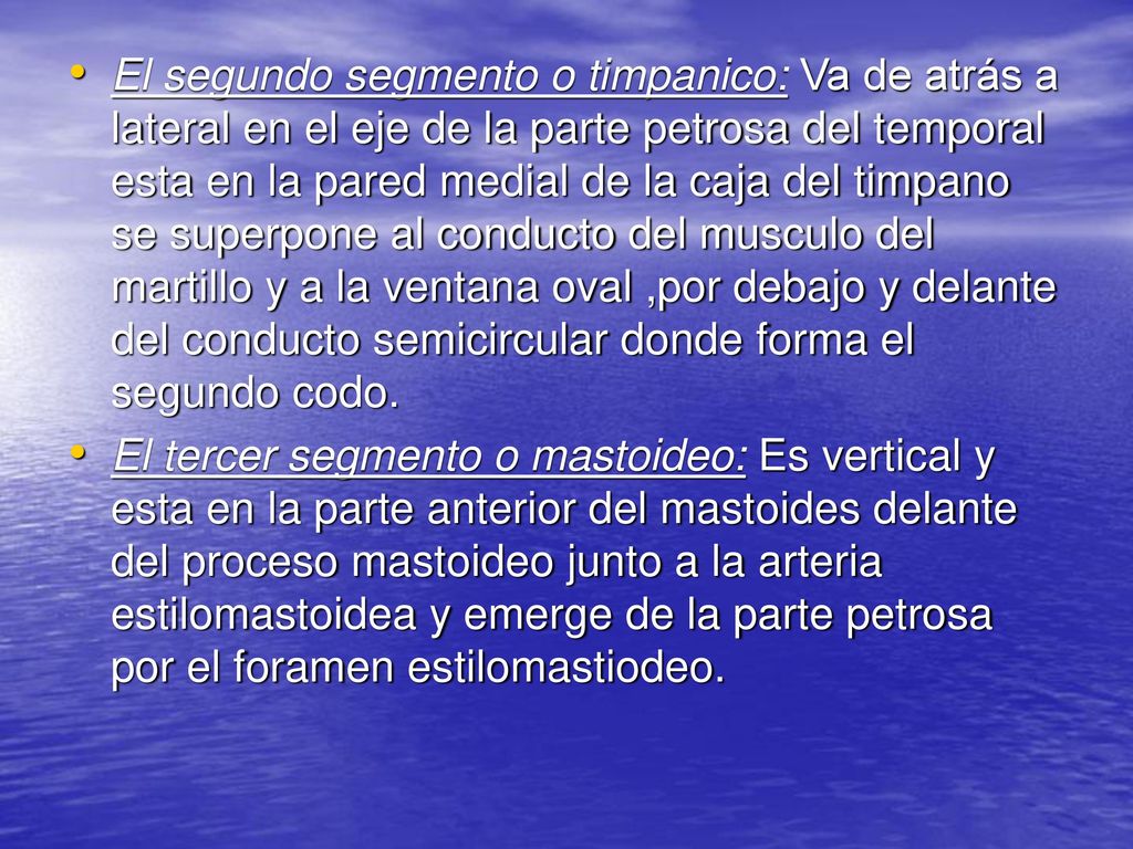 El segundo segmento o timpanico: Va de atrás a lateral en el eje de la parte petrosa del temporal esta en la pared medial de la caja del timpano se superpone al conducto del musculo del martillo y a la ventana oval ,por debajo y delante del conducto semicircular donde forma el segundo codo.