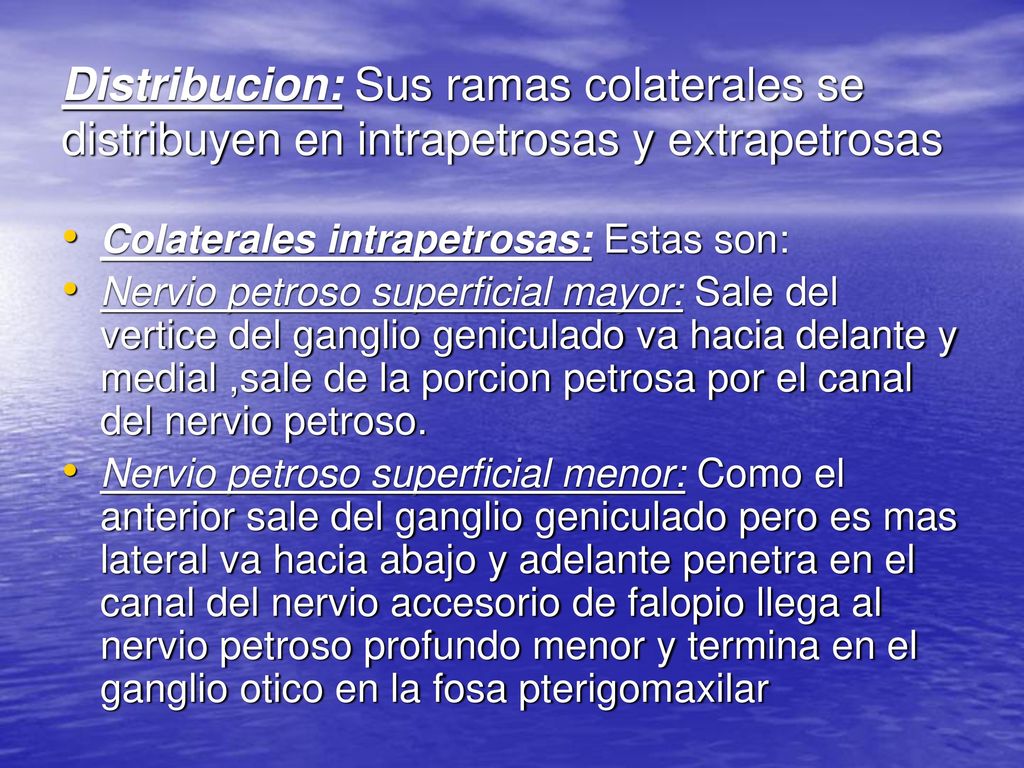 Distribucion: Sus ramas colaterales se distribuyen en intrapetrosas y extrapetrosas