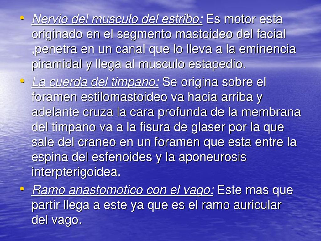Nervio del musculo del estribo: Es motor esta originado en el segmento mastoideo del facial ,penetra en un canal que lo lleva a la eminencia piramidal y llega al musculo estapedio.