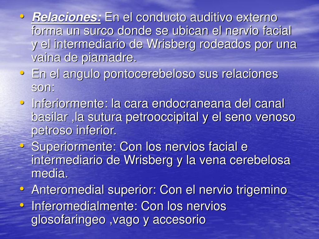 Relaciones: En el conducto auditivo externo forma un surco donde se ubican el nervio facial y el intermediario de Wrisberg rodeados por una vaina de piamadre.