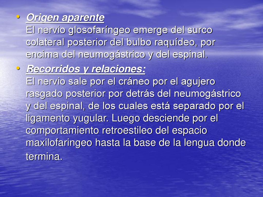Origen aparente El nervio glosofaríngeo emerge del surco colateral posterior del bulbo raquídeo, por encima del neumogástrico y del espinal.