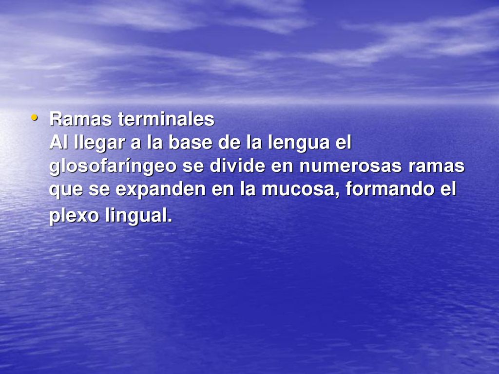 Ramas terminales Al llegar a la base de la lengua el glosofaríngeo se divide en numerosas ramas que se expanden en la mucosa, formando el plexo lingual.