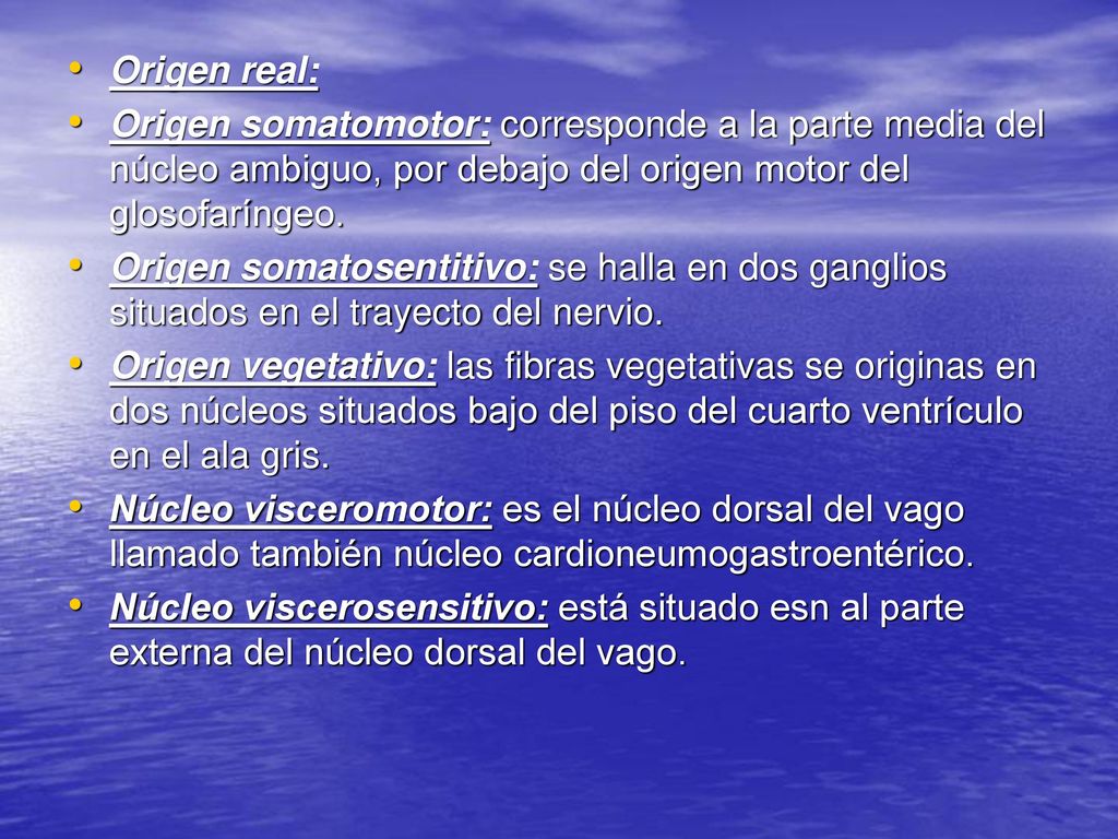 Origen real: Origen somatomotor: corresponde a la parte media del núcleo ambiguo, por debajo del origen motor del glosofaríngeo.
