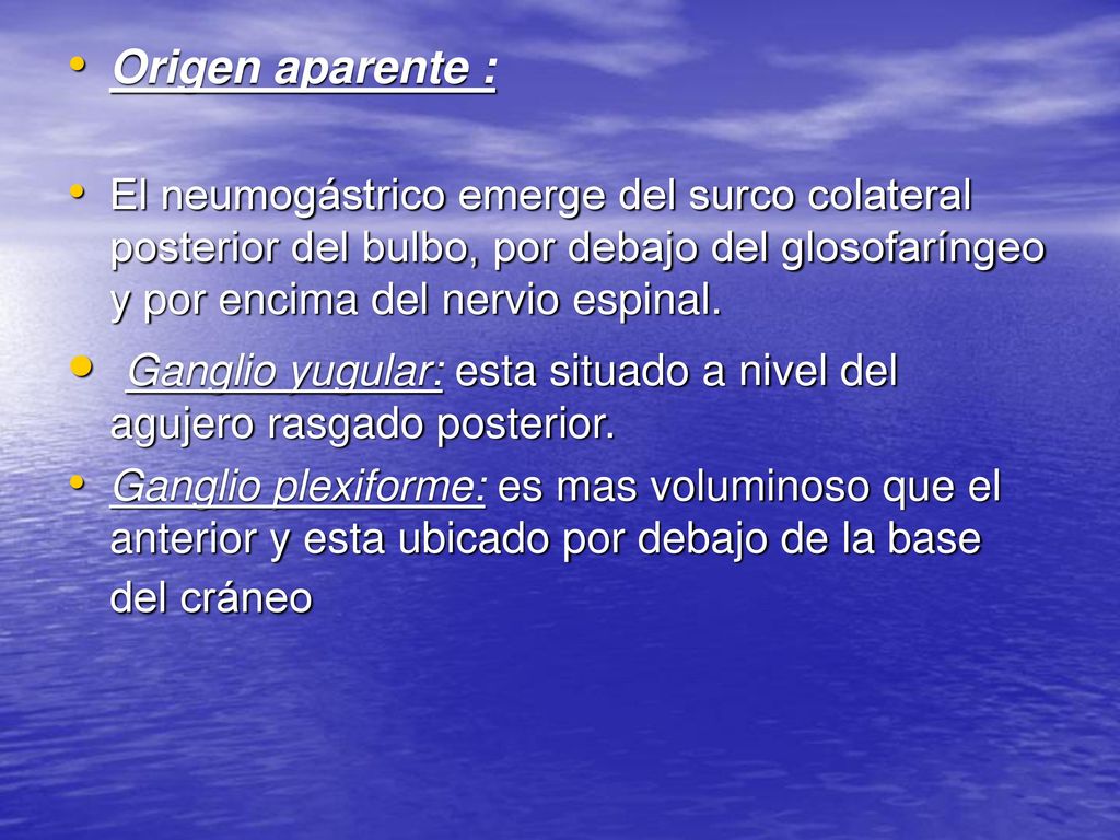 Ganglio yugular: esta situado a nivel del agujero rasgado posterior.