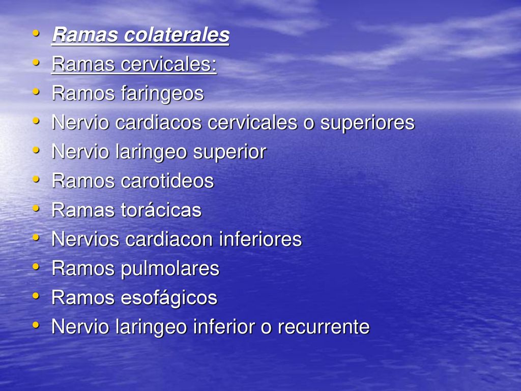Ramas colaterales Ramas cervicales: Ramos faringeos. Nervio cardiacos cervicales o superiores. Nervio laringeo superior.