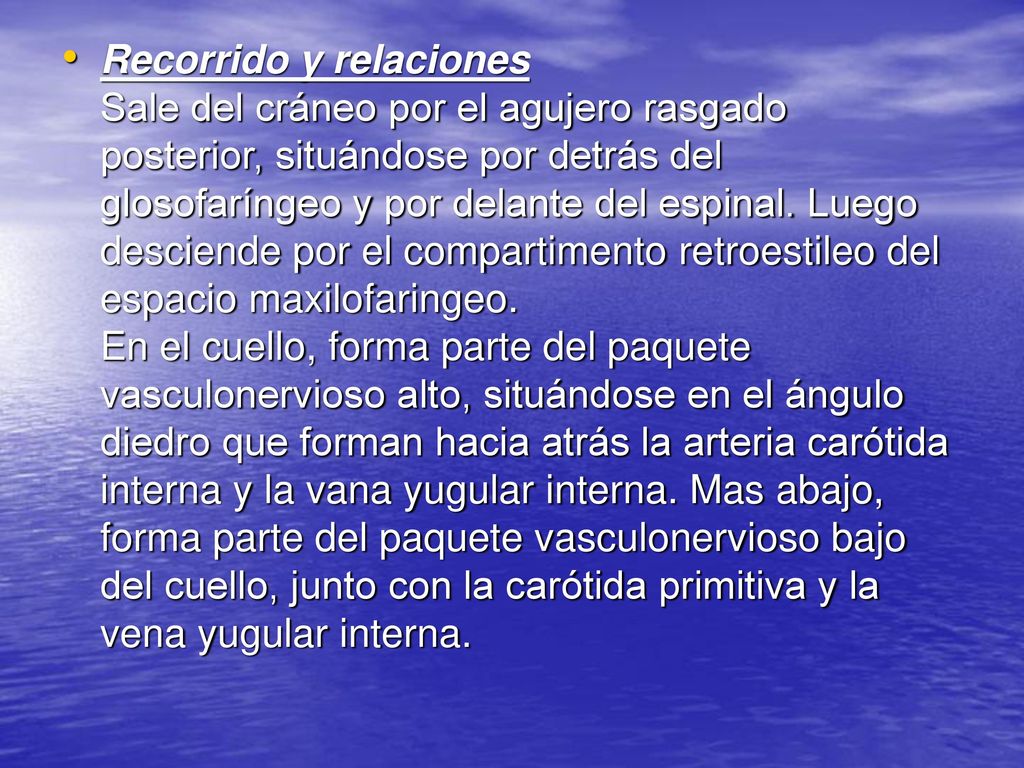 Recorrido y relaciones Sale del cráneo por el agujero rasgado posterior, situándose por detrás del glosofaríngeo y por delante del espinal.