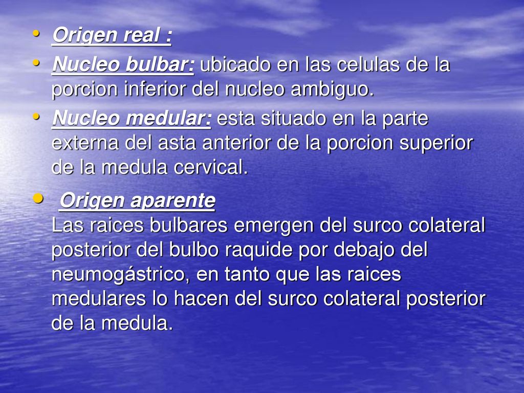 Origen real : Nucleo bulbar: ubicado en las celulas de la porcion inferior del nucleo ambiguo.