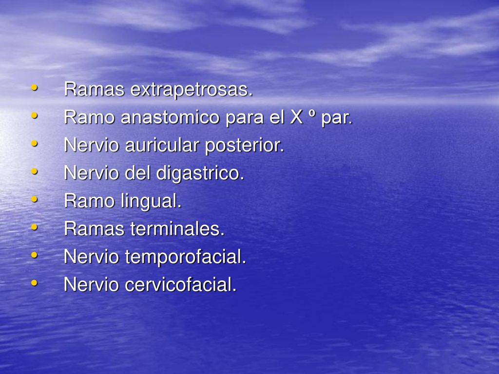 Ramas extrapetrosas. Ramo anastomico para el X º par. Nervio auricular posterior. Nervio del digastrico.