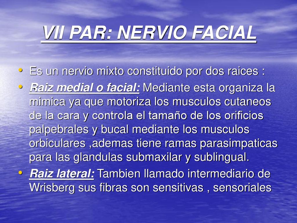 VII PAR: NERVIO FACIAL Es un nervio mixto constituido por dos raices :