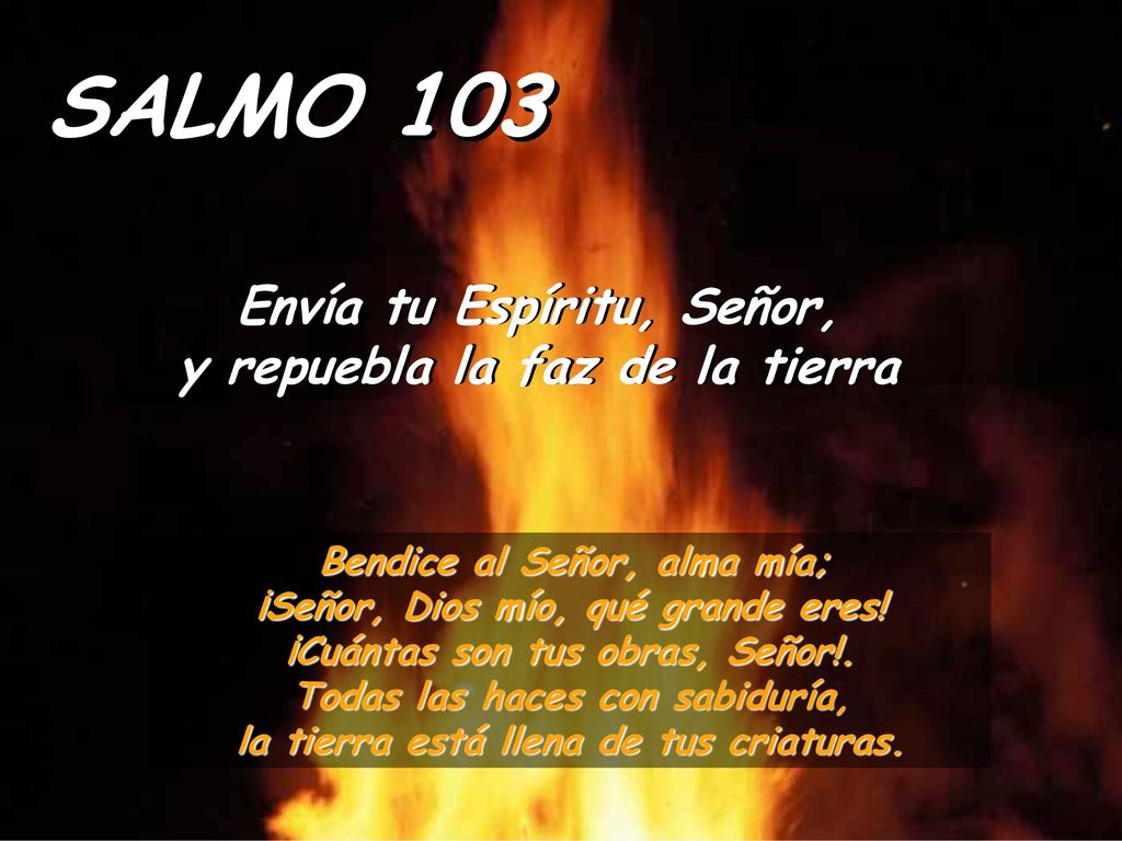 SALMO 103 Envía tu Espíritu, Señor, y repuebla la faz de la tierra
