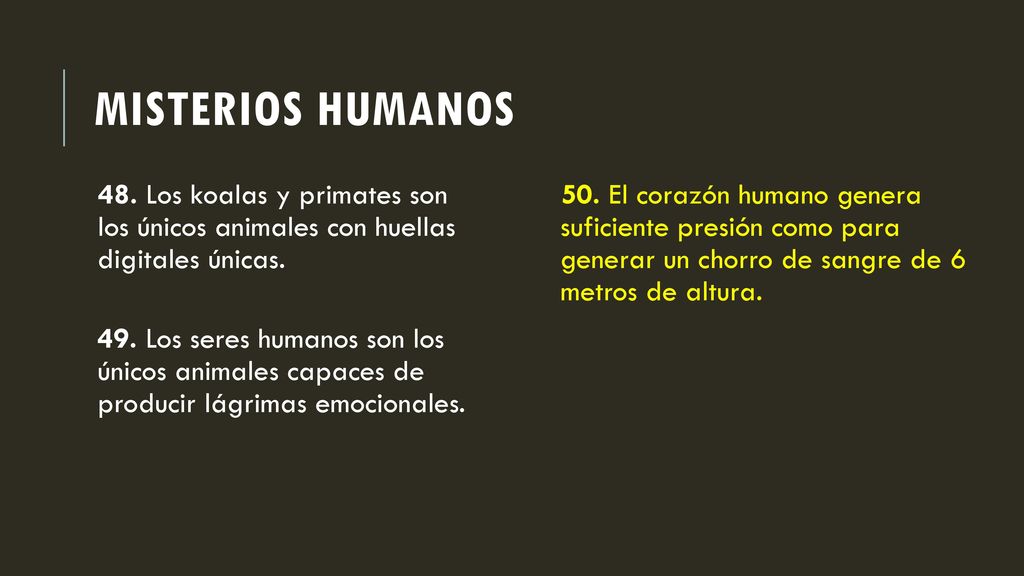 Misterios humanos 48. Los koalas y primates son los únicos animales con huellas digitales únicas.