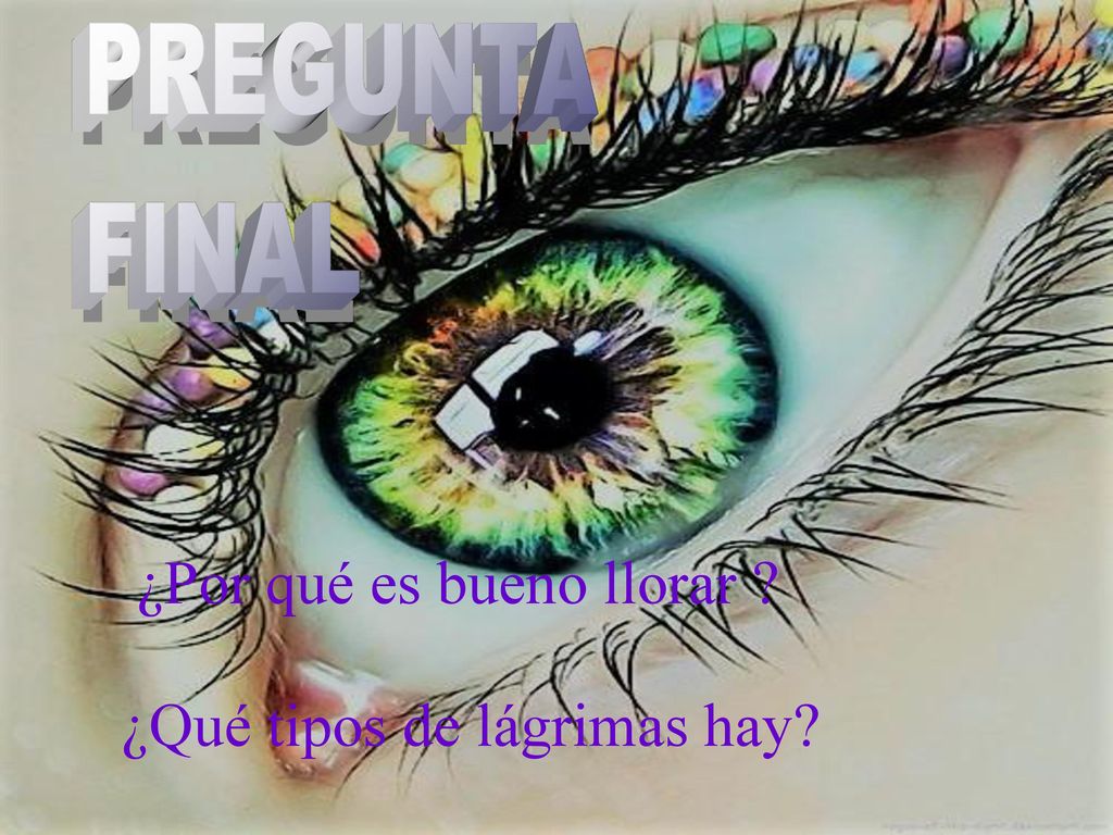 ¿Por qué es bueno llorar ¿Qué tipos de lágrimas hay