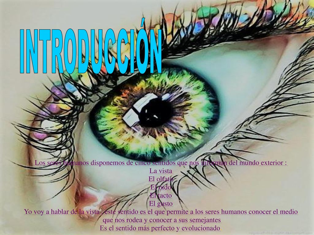 INTRODUCCIÓN Los seres humanos disponemos de cinco sentidos que nos informan del mundo exterior : La vista.