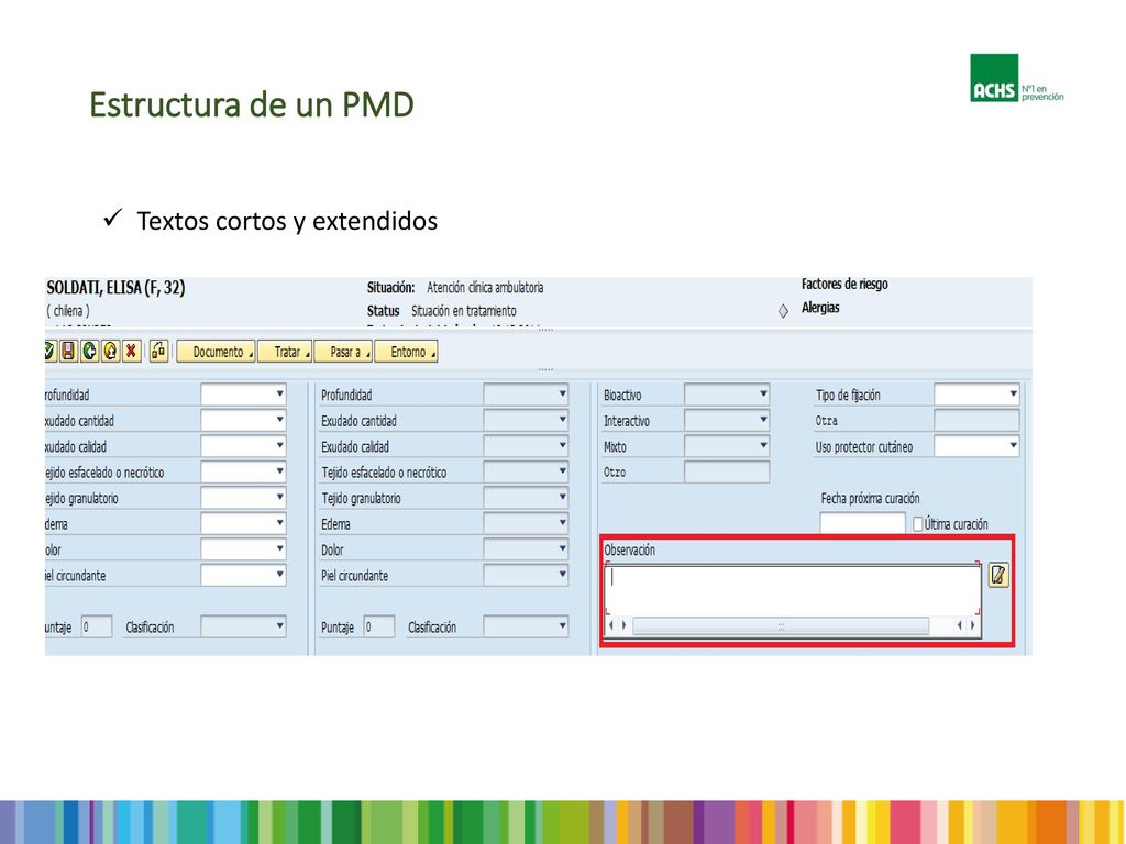 Estructura de un PMD Textos cortos y extendidos