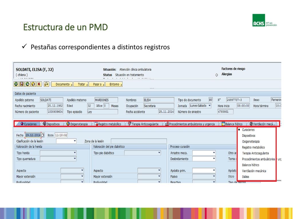 Estructura de un PMD Pestañas correspondientes a distintos registros