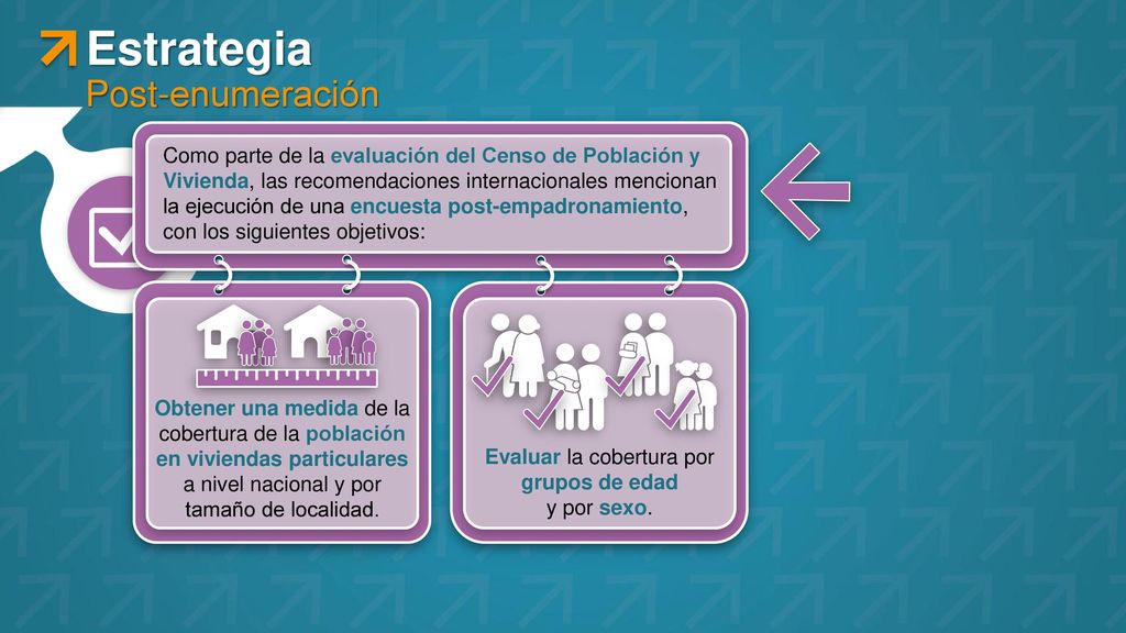 Evaluar la cobertura por grupos de edad y por sexo.
