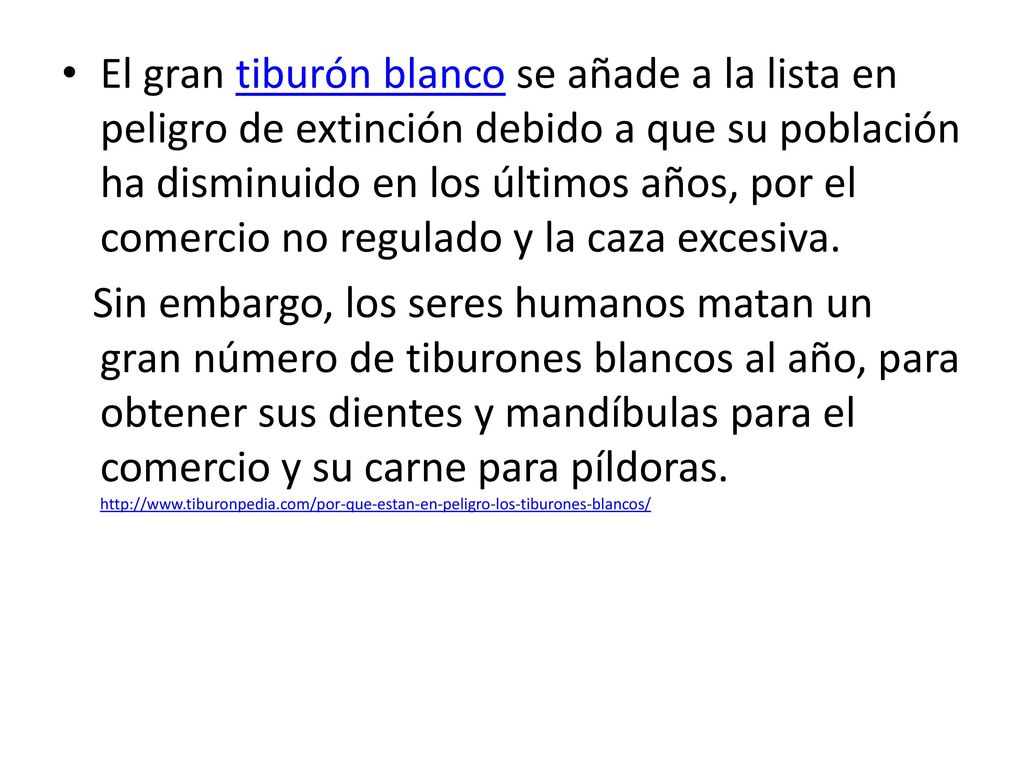 El gran tiburón blanco se añade a la lista en peligro de extinción debido a que su población ha disminuido en los últimos años, por el comercio no regulado y la caza excesiva.