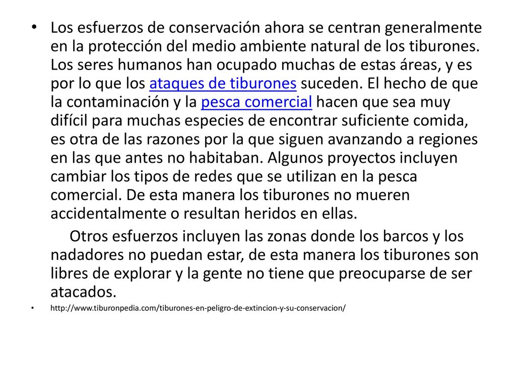 Los esfuerzos de conservación ahora se centran generalmente en la protección del medio ambiente natural de los tiburones. Los seres humanos han ocupado muchas de estas áreas, y es por lo que los ataques de tiburones suceden. El hecho de que la contaminación y la pesca comercial hacen que sea muy difícil para muchas especies de encontrar suficiente comida, es otra de las razones por la que siguen avanzando a regiones en las que antes no habitaban. Algunos proyectos incluyen cambiar los tipos de redes que se utilizan en la pesca comercial. De esta manera los tiburones no mueren accidentalmente o resultan heridos en ellas.