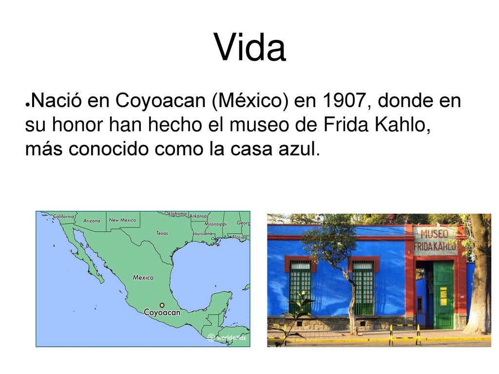 Vida Nació en Coyoacan (México) en 1907, donde en su honor han hecho el museo de Frida Kahlo, más conocido como la casa azul.