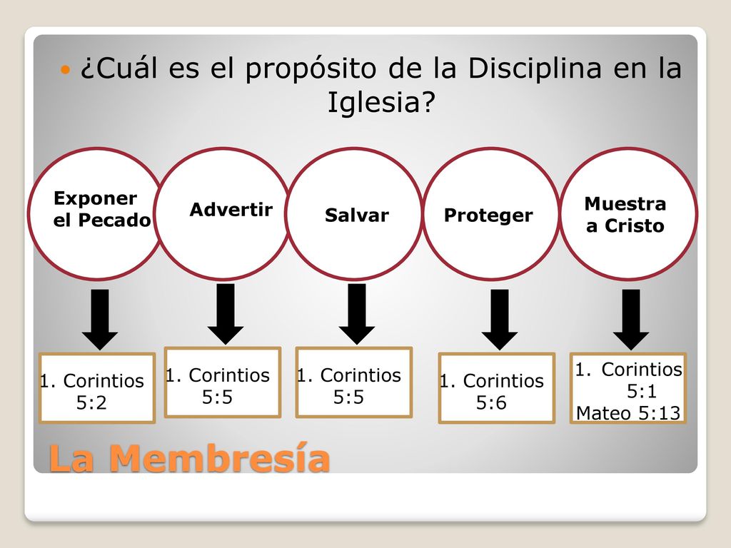 ¿Cuál es el propósito de la Disciplina en la Iglesia