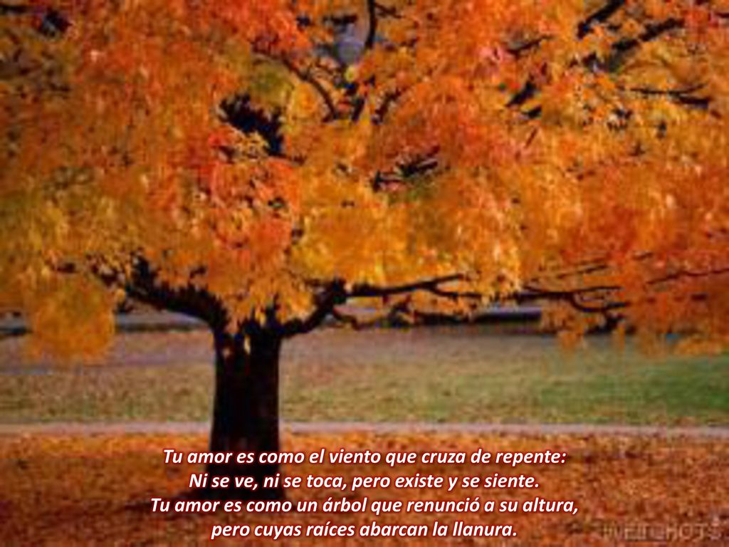 Tu amor es como el viento que cruza de repente: Ni se ve, ni se toca, pero existe y se siente.