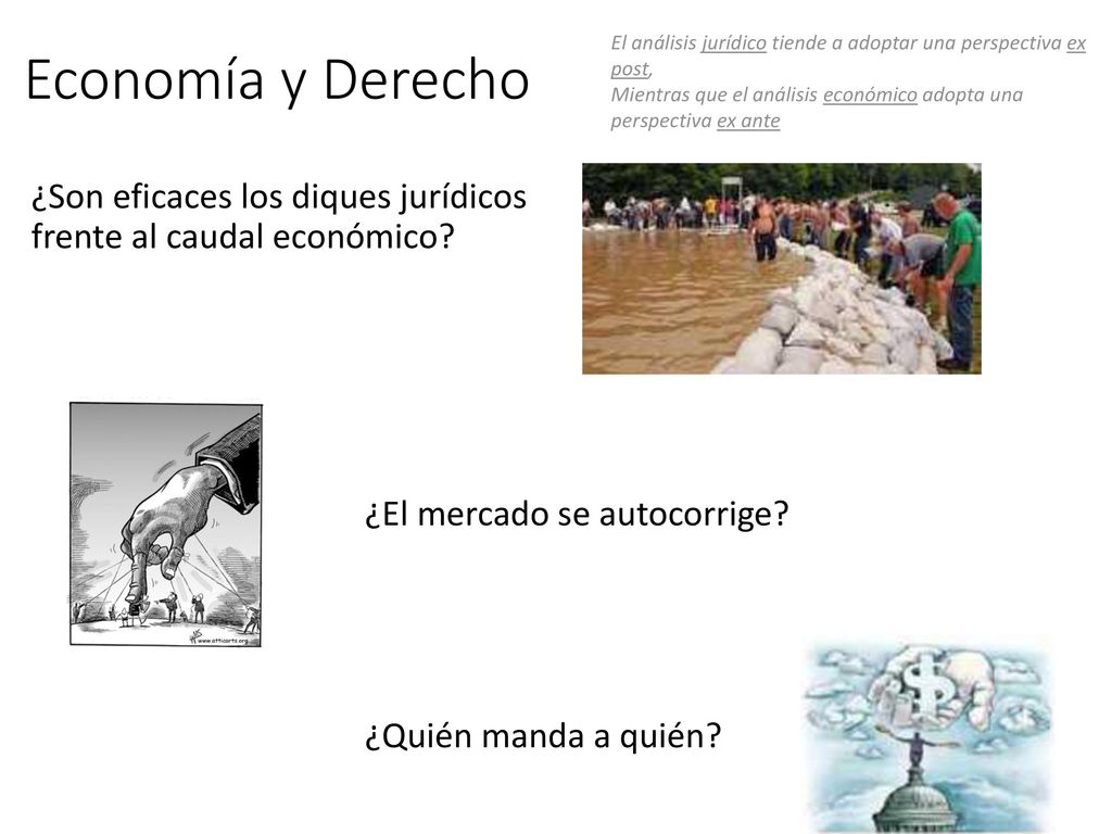 Economía y Derecho El análisis jurídico tiende a adoptar una perspectiva ex post, Mientras que el análisis económico adopta una perspectiva ex ante.