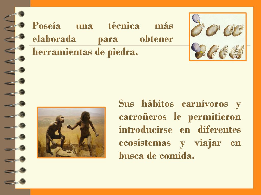 Poseía una técnica más elaborada para obtener herramientas de piedra.