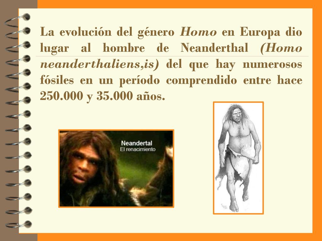 La evolución del género Homo en Europa dio lugar al hombre de Neanderthal (Homo neanderthaliens,is) del que hay numerosos fósiles en un período comprendido entre hace y años.