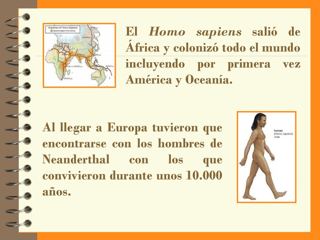 El Homo sapiens salió de África y colonizó todo el mundo incluyendo por primera vez América y Oceanía.