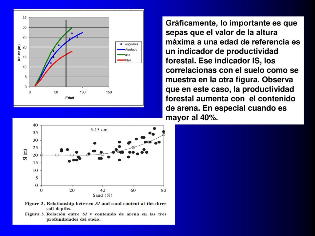 Gráficamente, lo importante es que sepas que el valor de la altura máxima a una edad de referencia es un indicador de productividad forestal.