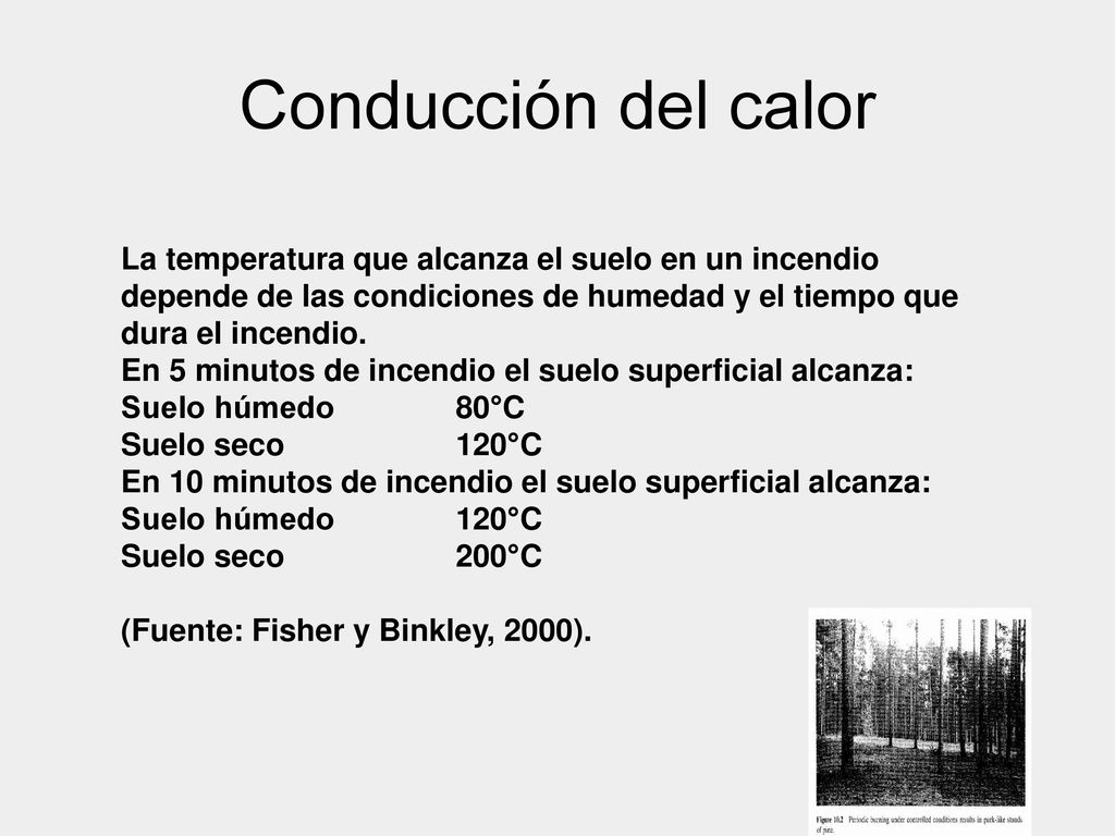 Conducción del calor La temperatura que alcanza el suelo en un incendio depende de las condiciones de humedad y el tiempo que dura el incendio.