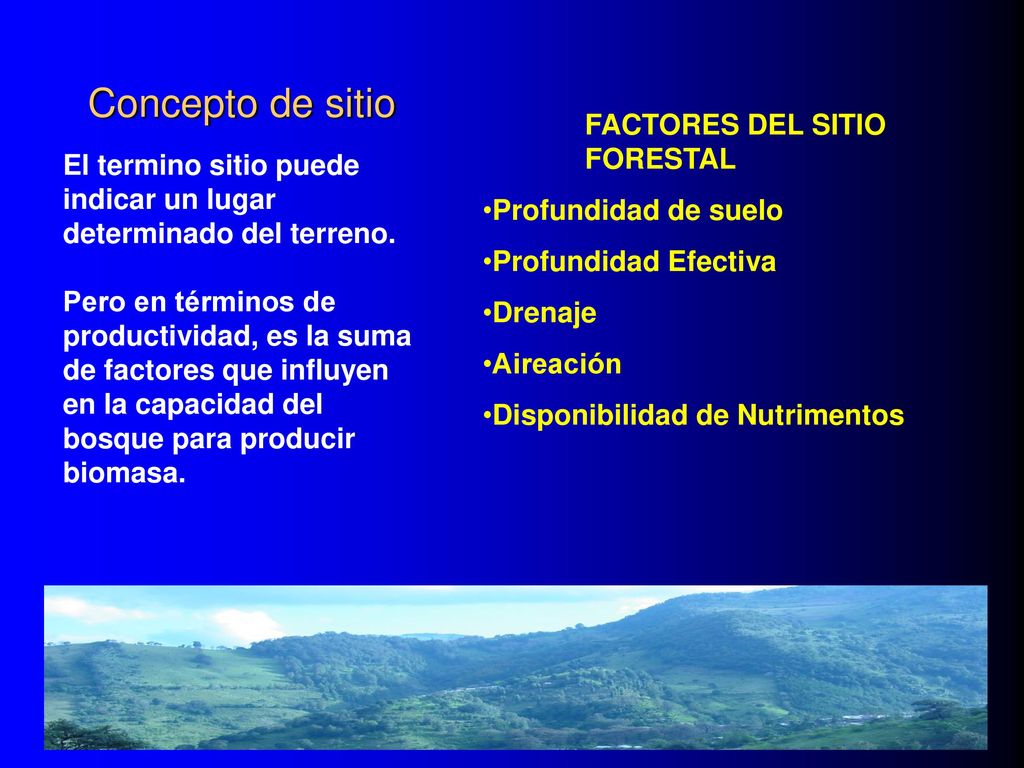 Concepto de sitio FACTORES DEL SITIO FORESTAL Profundidad de suelo