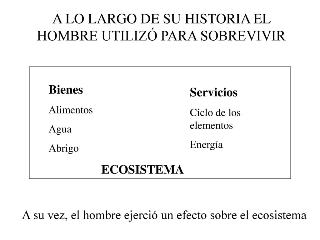 A LO LARGO DE SU HISTORIA EL HOMBRE UTILIZÓ PARA SOBREVIVIR