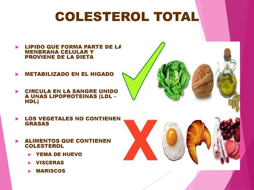 COLESTEROL TOTAL LIPIDO QUE FORMA PARTE DE LA MENBRANA CELULAR Y PROVIENE DE LA DIETA. METABILIZADO EN EL HIGADO.