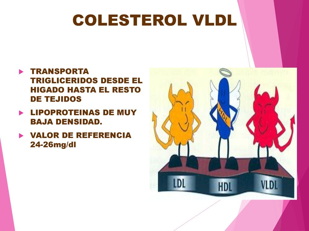COLESTEROL VLDL TRANSPORTA TRIGLICERIDOS DESDE EL HIGADO HASTA EL RESTO DE TEJIDOS. LIPOPROTEINAS DE MUY BAJA DENSIDAD.