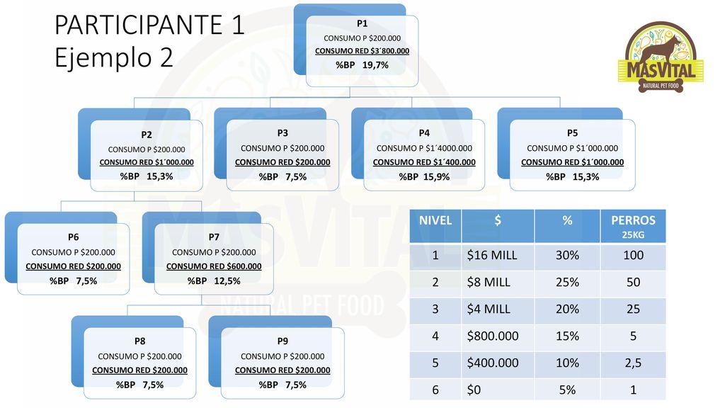 PARTICIPANTE 1 Ejemplo 2 NIVEL $ % PERROS 1 $16 MILL 30% $8 MILL