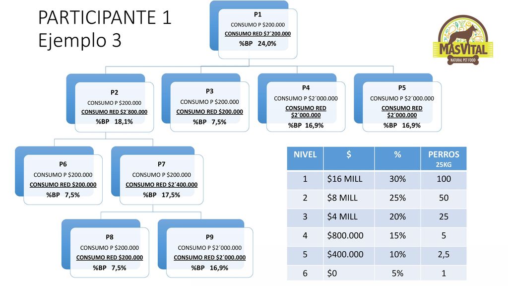 PARTICIPANTE 1 Ejemplo 3 NIVEL $ % PERROS 1 $16 MILL 30% $8 MILL