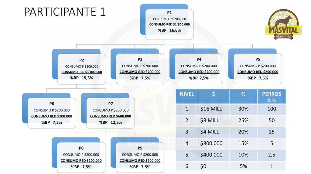 PARTICIPANTE 1 NIVEL $ % PERROS 1 $16 MILL 30% $8 MILL 25% 50 3