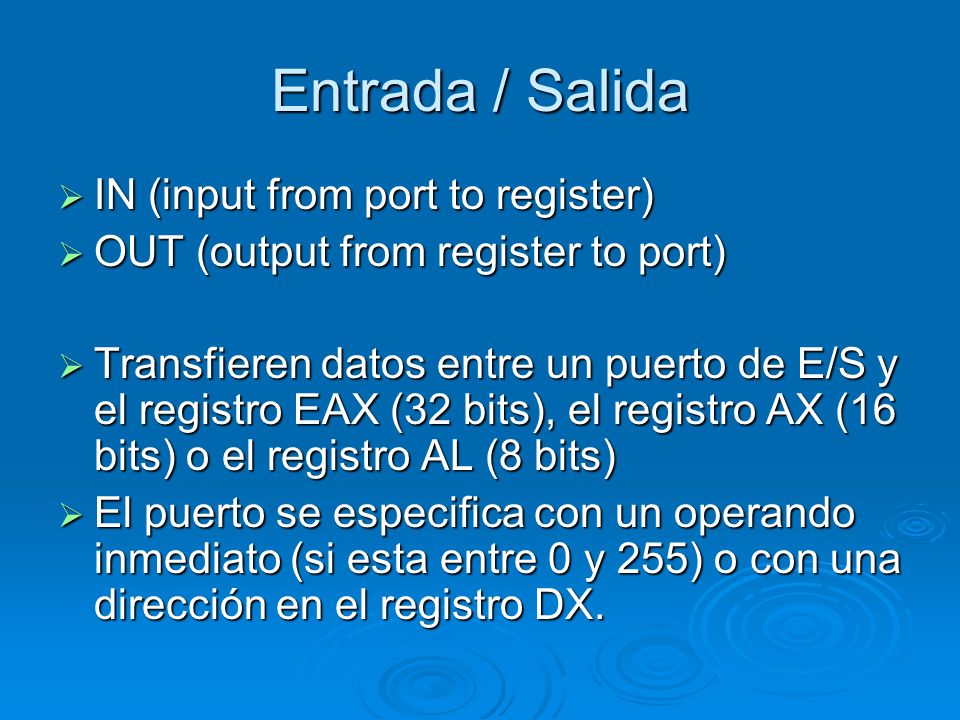 Entrada / Salida IN (input from port to register)