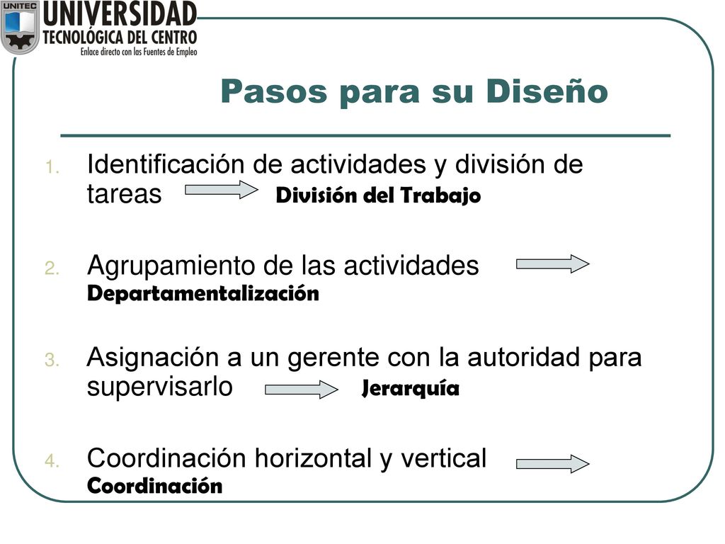 Pasos para su Diseño Identificación de actividades y división de tareas División del Trabajo.