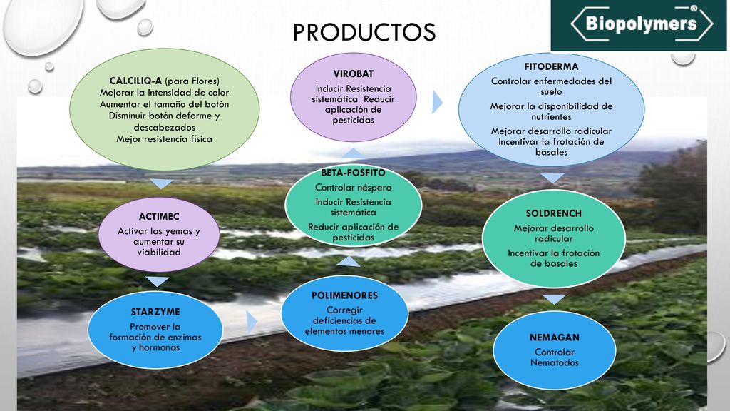 Productos FITODERMA CALCILIQ-A (para Flores) VIROBAT