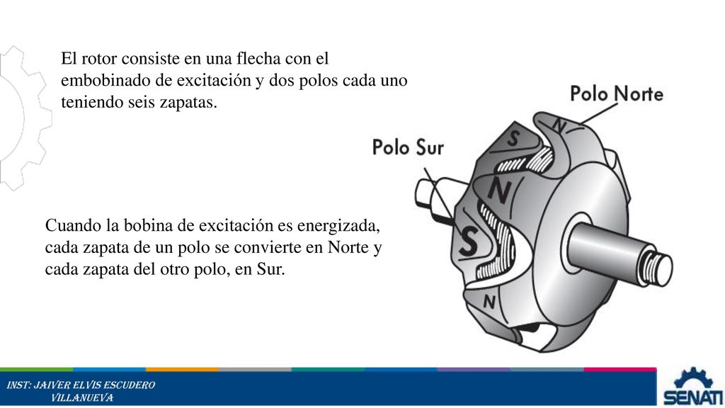 El rotor consiste en una flecha con el embobinado de excitación y dos polos cada uno teniendo seis zapatas.