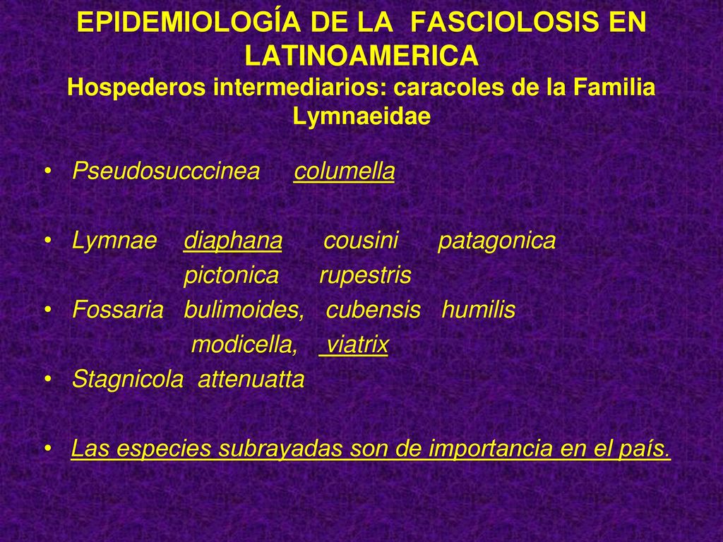 EPIDEMIOLOGÍA DE LA FASCIOLOSIS EN LATINOAMERICA Hospederos intermediarios: caracoles de la Familia Lymnaeidae