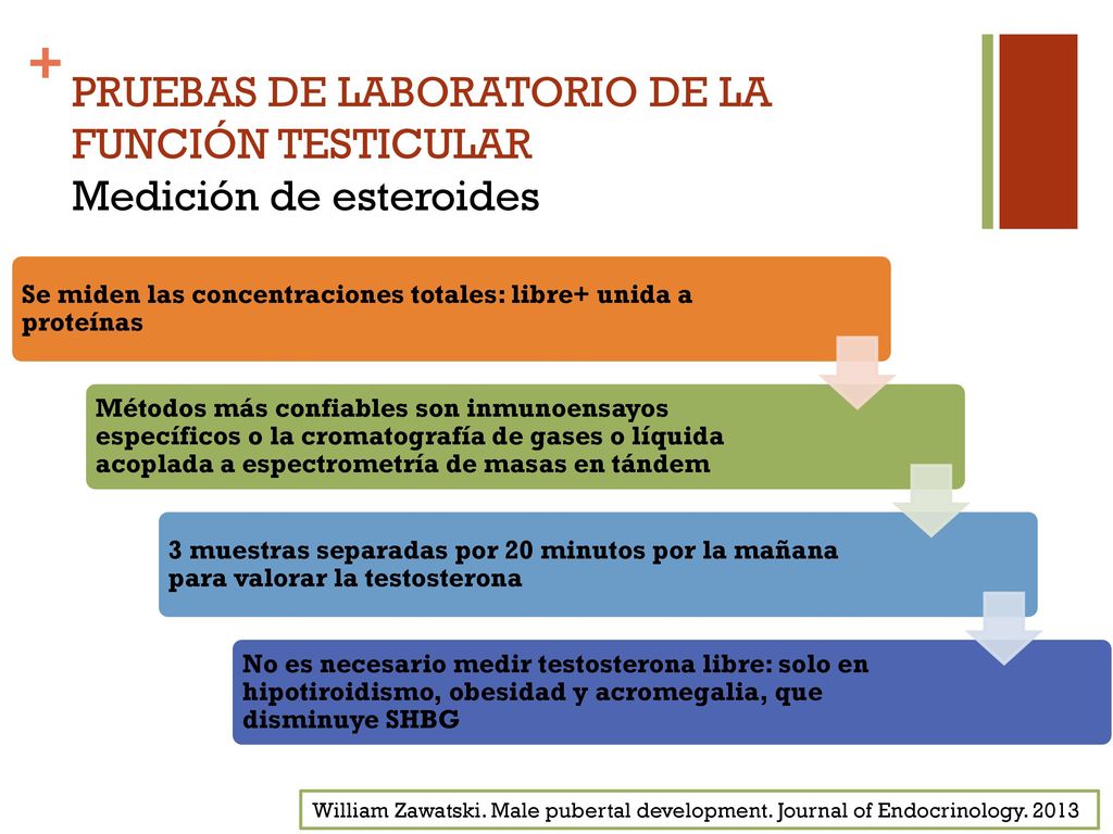 PRUEBAS DE LABORATORIO DE LA FUNCIÓN TESTICULAR Medición de esteroides