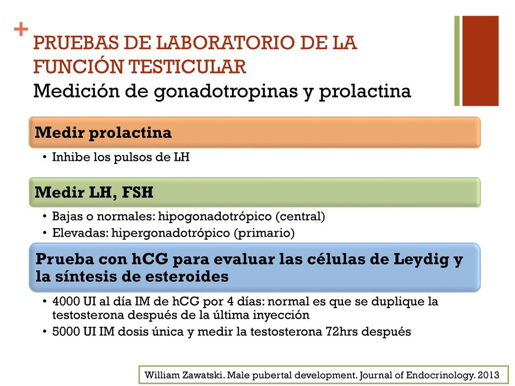 PRUEBAS DE LABORATORIO DE LA FUNCIÓN TESTICULAR Medición de gonadotropinas y prolactina