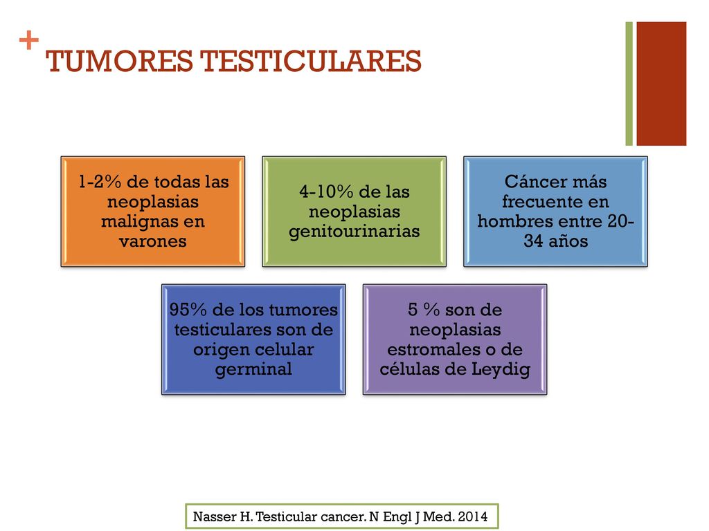 TUMORES TESTICULARES 1-2% de todas las neoplasias malignas en varones