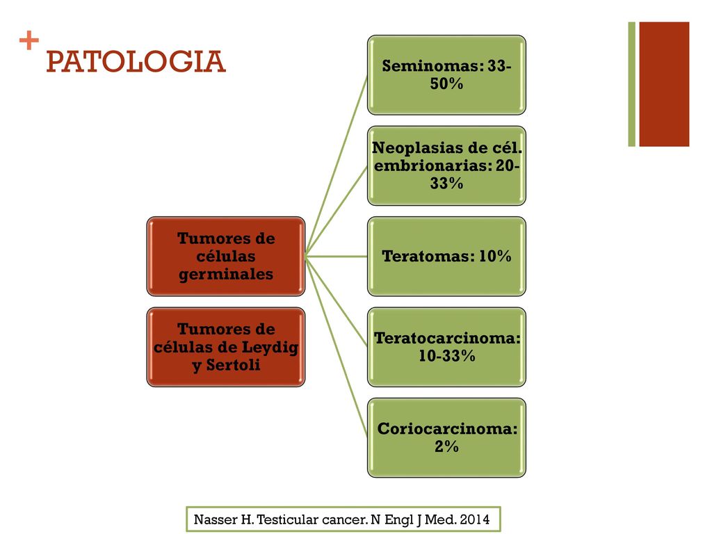 PATOLOGIA Nasser H. Testicular cancer. N Engl J Med. 2014