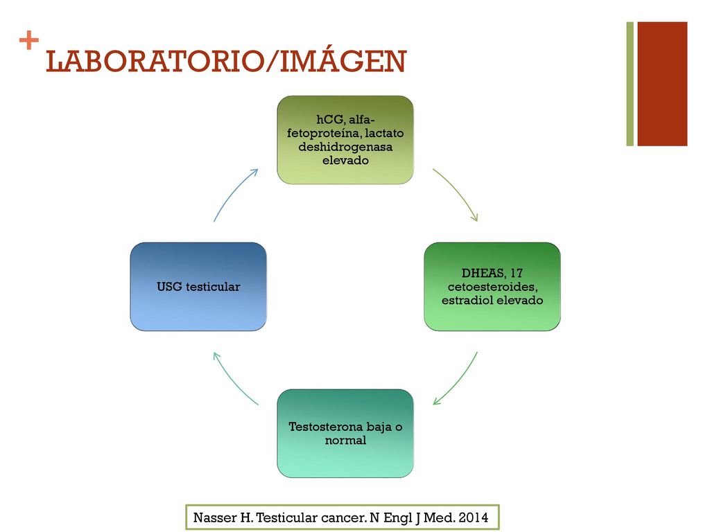 LABORATORIO/IMÁGEN Nasser H. Testicular cancer. N Engl J Med. 2014