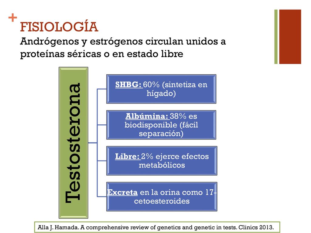 FISIOLOGÍA Andrógenos y estrógenos circulan unidos a proteínas séricas o en estado libre